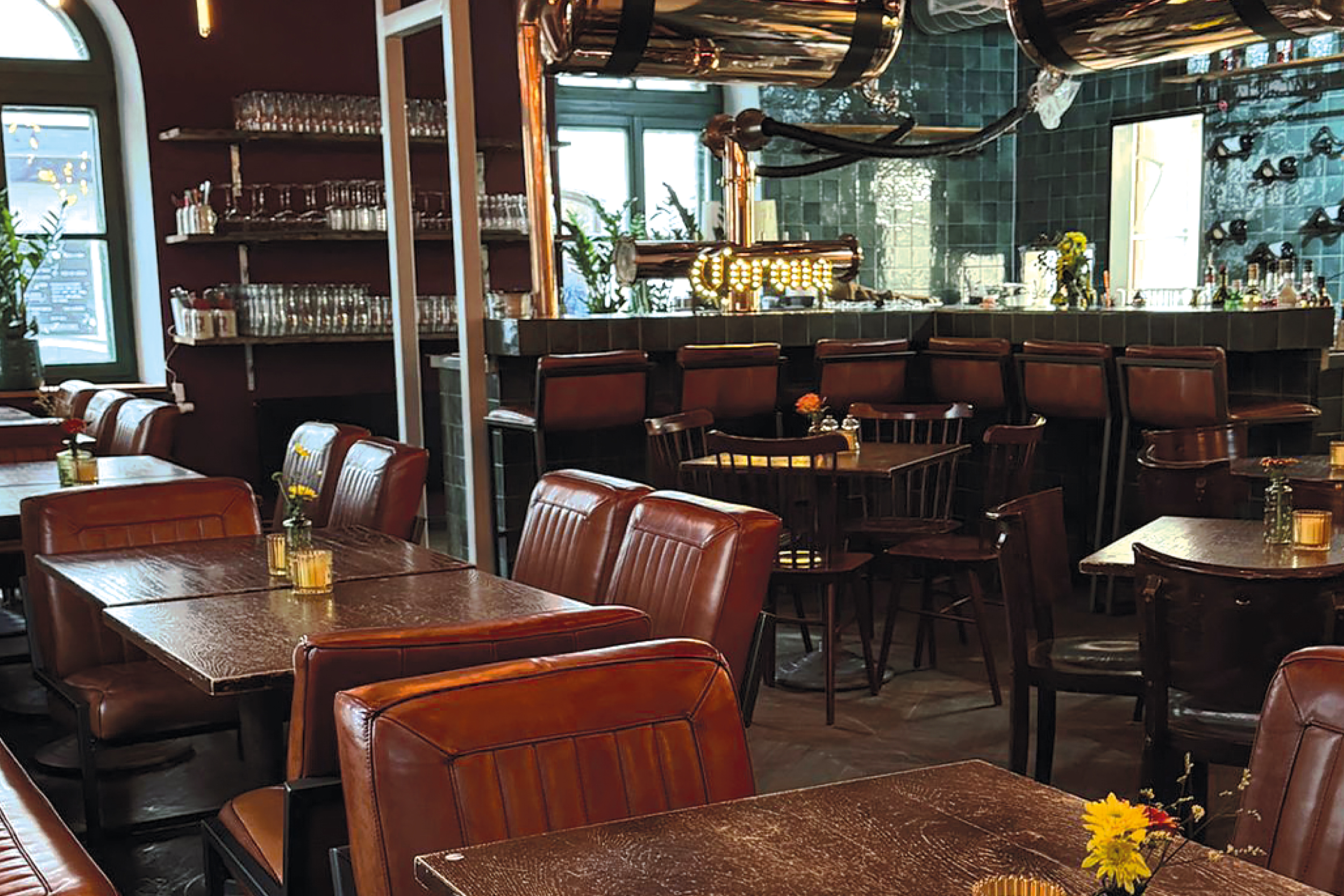 Wing Nation Hintergrund